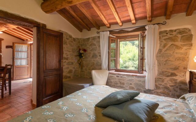 House Olinto Cinigiano