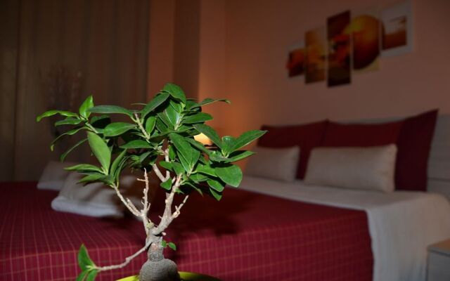 Roman Holidays House Marconi