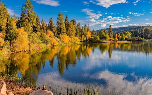 41785swd 2 Bedroom Duplex