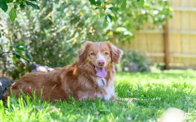 Your Ocean Oasis Ocean Country Views Spa Pet Friendly Fireplace