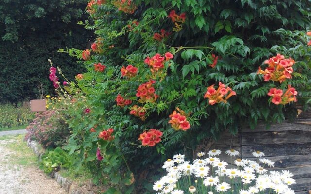 House With 2 Bedrooms in Monlaur-bernet, With Furnished Terrace