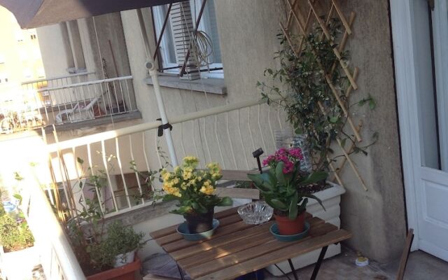 Interno 8