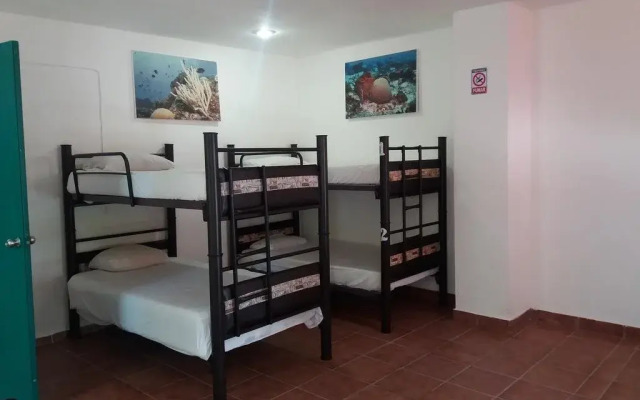 Loft 10 Hostel