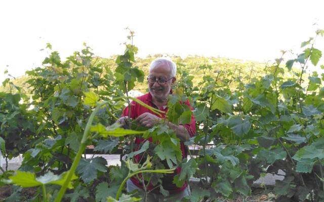 Mimas Garden Apartments