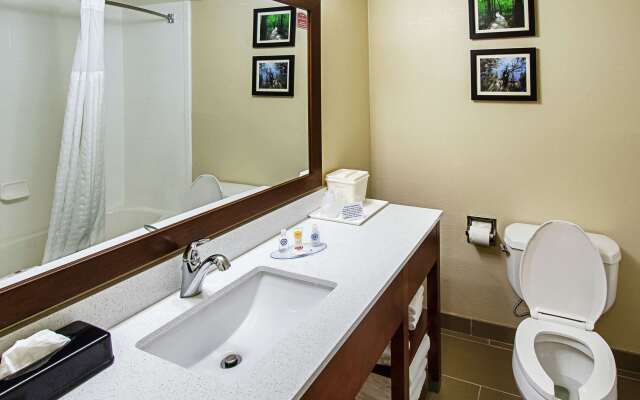 Comfort Inn & Suites Santee