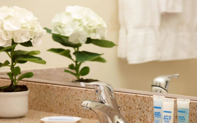 WorldMark Palm Springs - Plaza Resort and Spa