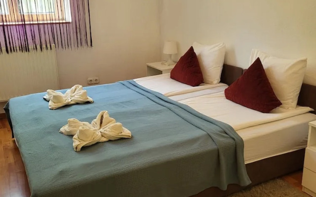 Elena Suite