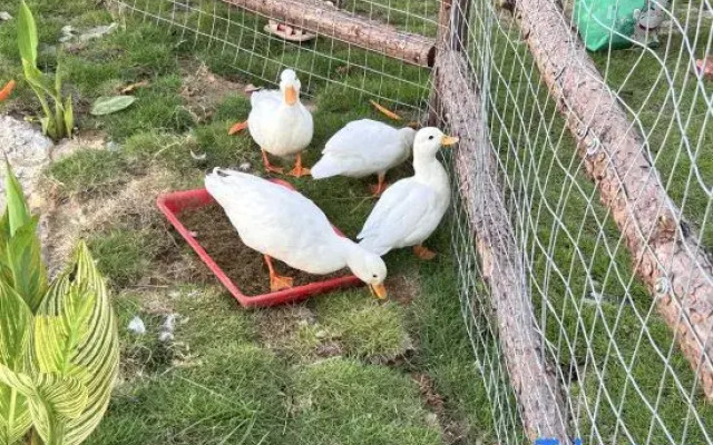 Zhangzhou Longjia Hotel