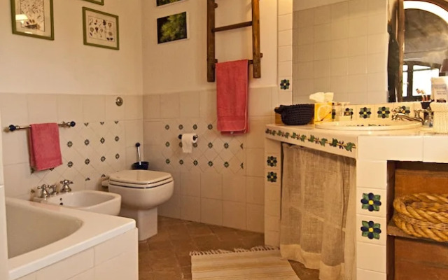 Casale Chimneys Immersed in Olive Trees