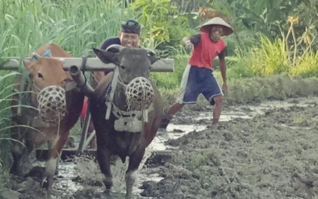 Telagamas Guest House