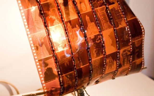 Happy Jackdaw in the Center of Split