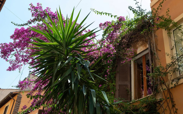 Monica 6 superior appartment