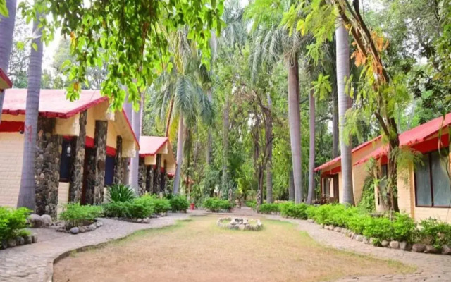 Leopard Lair Ananta Express