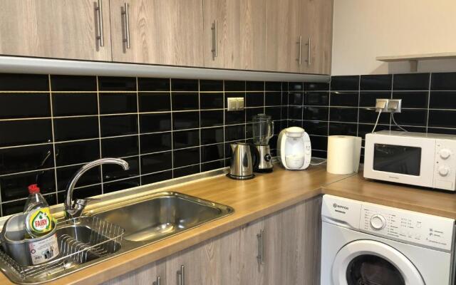 The only luxurious apartment in the center of town