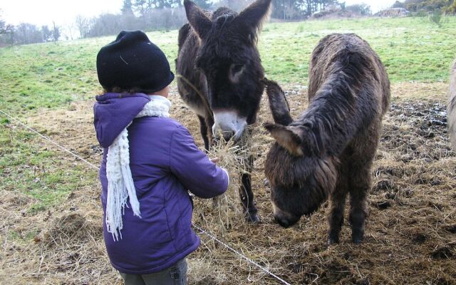 Les chambres d'hôtes de Kérael