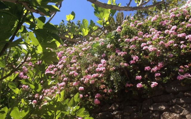 Finca Los Geranios