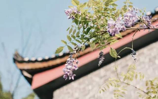 Furong Town Shangfang Jiewa Designer Garden Meisu