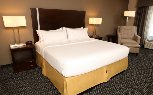 Holiday Inn Express & Suites Omaha South - Ralston Arena by IHG