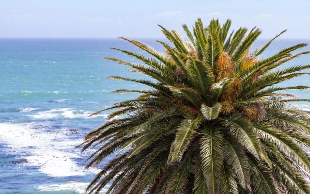 Boulders Views in Camps Bay