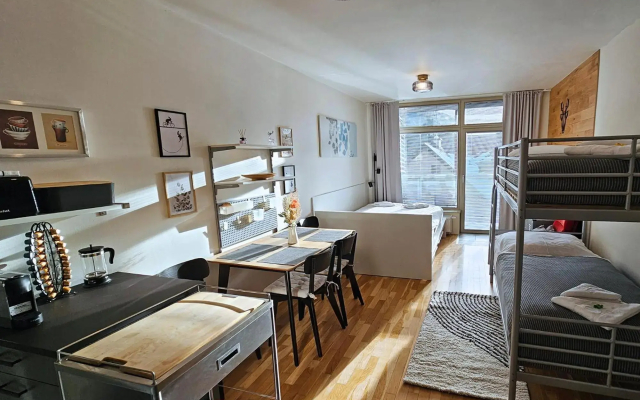 Enjoy Harrachov - Atraktivní slunné studio Čertovka v centru Harrachova s parkováním, Wifi, herní konzolí, Netflix, jedinečným výhledem na Čertovu horu a areál skokanských můstků se sjezdovkou - Hotel in Harrachov - Photo 3