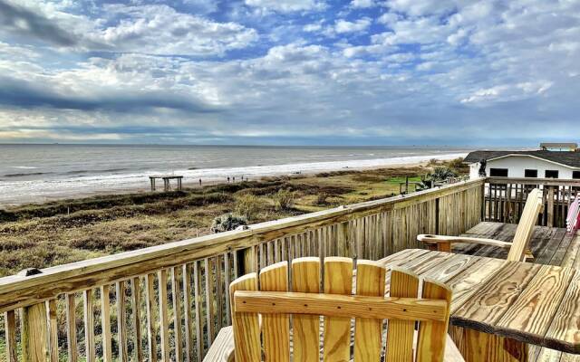 Happy Honu by RedAwning