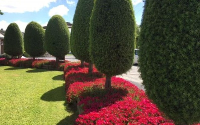 Otorohanga Kiwi Holiday Park
