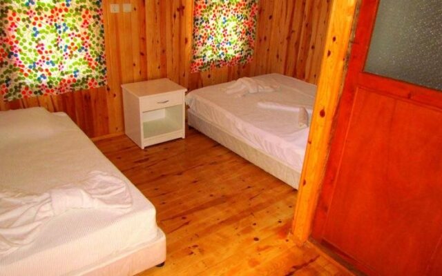 Jungle Bells Hostel