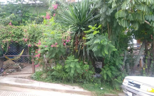 La Casa Del Nenufar - Hostel