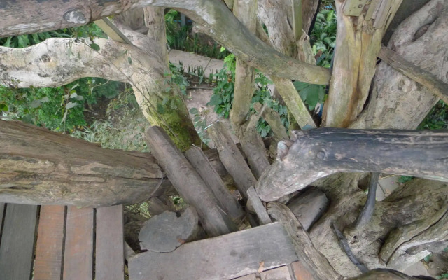 Pai Treehouse Resort