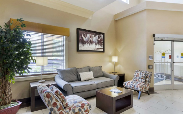 Spark by Hilton La Grange