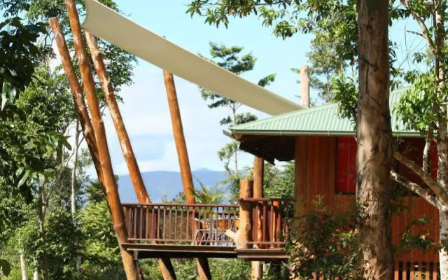 Rose Gums Wilderness Retreat