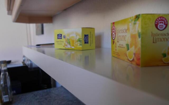 Großzügige Wohnung mit Herkulesblick nähe Uni