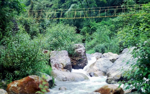 Nainital River Camp