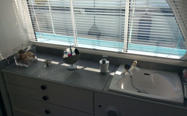 Penichette Oiseau Bleu