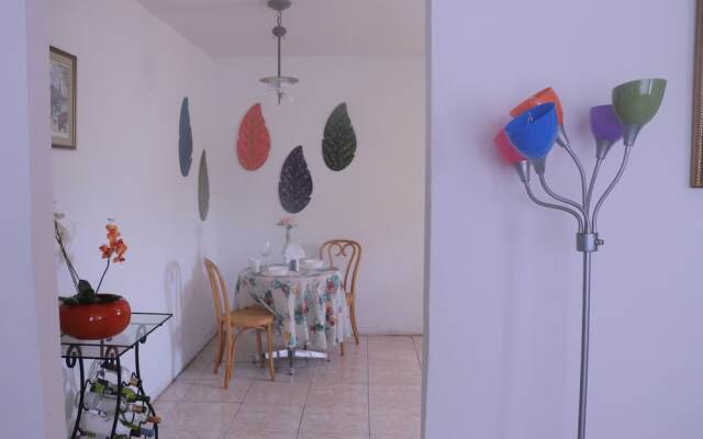 Walk in the heart of Wynwood