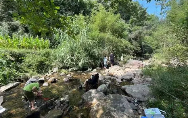 Tea  · Xingzhi Mountain Resort Homestay