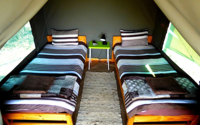 Thorn Tree Bush Camp