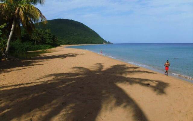 Coeur Caraibes