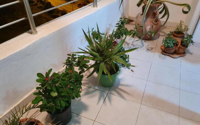 Appartement S+1 Jardin De Carthage