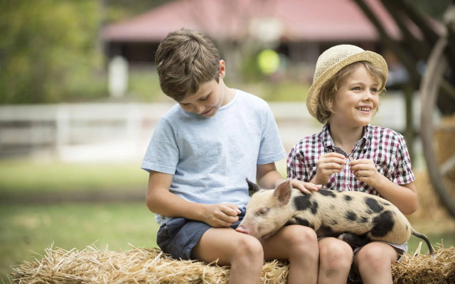 Paradise Country Farmstay
