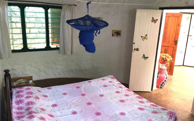 Tradewinds Lodge