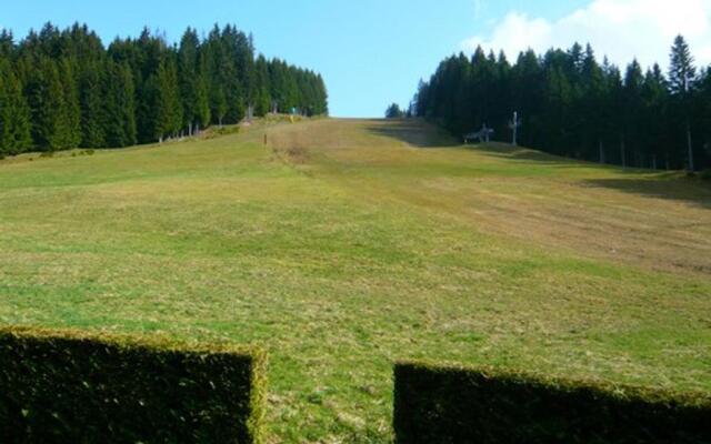 Appartement Les Gets, 2 pièces, 6 personnes - FR-1-623-125