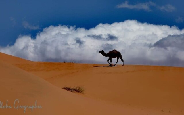 Etoile Sahara Camp