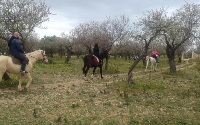 Agriturismo Vita e Natura