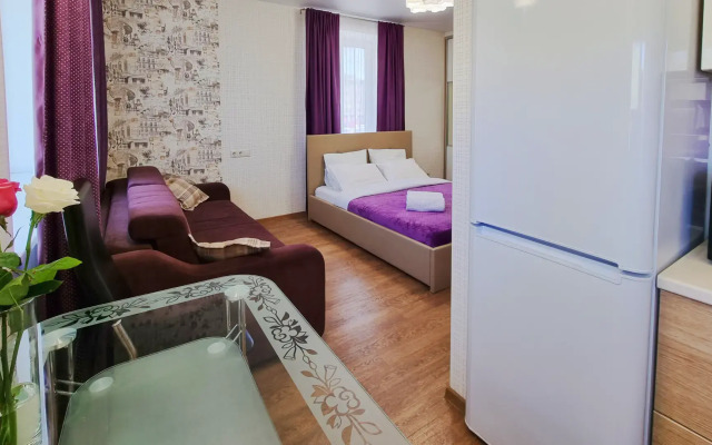 Апартаменты на улице Елизаровых 32