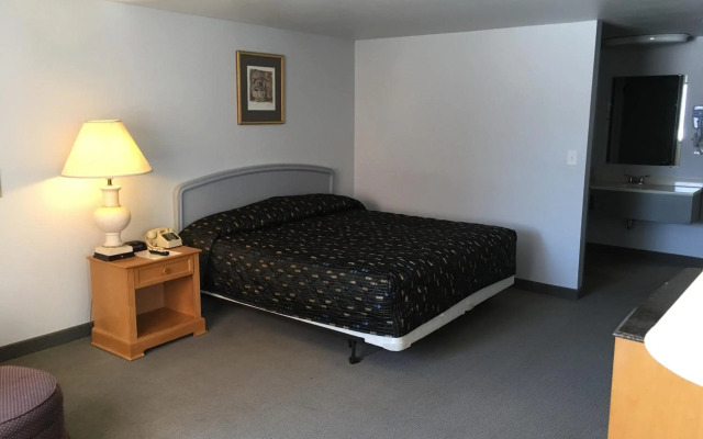 The Vegas Hotel