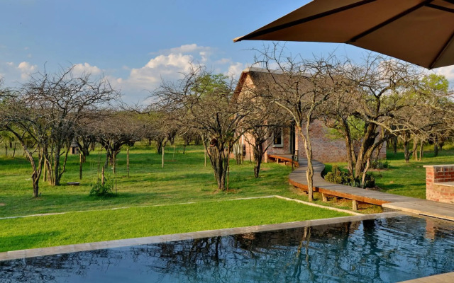 Ngala Lodge