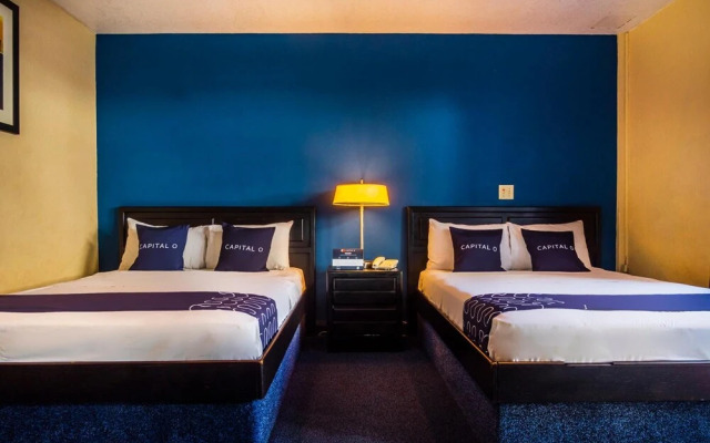 Hotel Mediterraneo