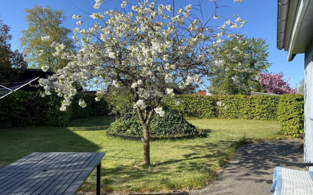Sommerhus i Risskov