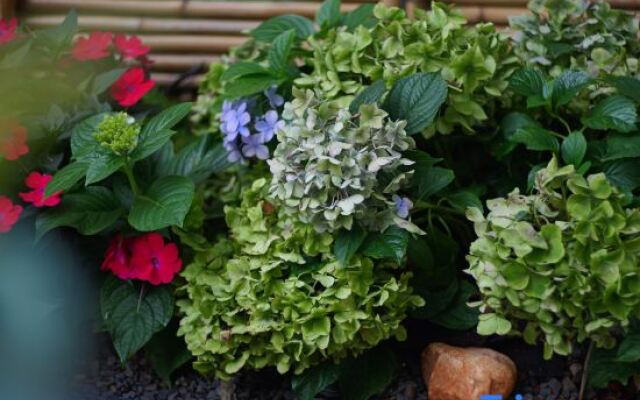 Yunqi Chinese Inn (Dianchi Lake Haigeng Dam)